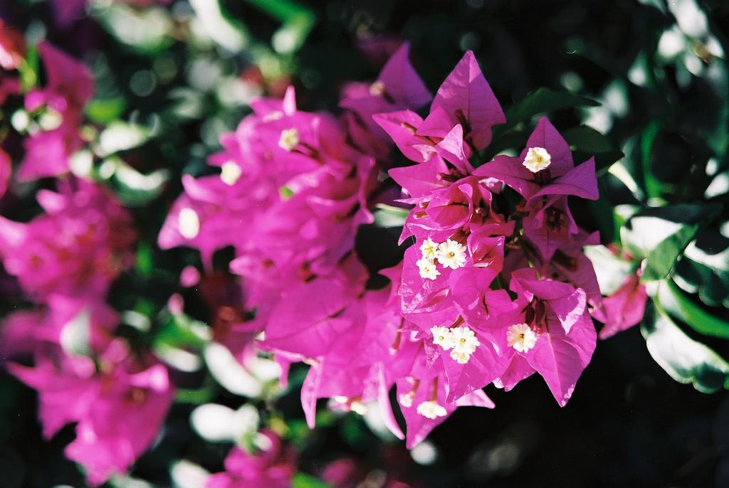 Gina'S Garden Lodges Arutanga Εξωτερικό φωτογραφία