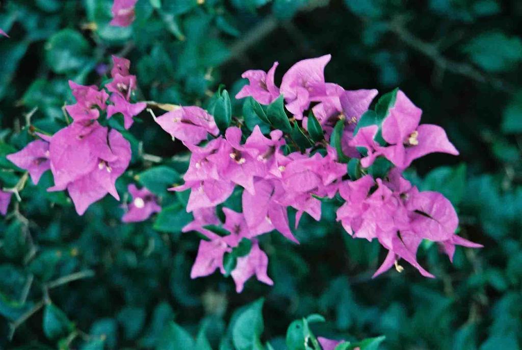 Gina'S Garden Lodges Arutanga Εξωτερικό φωτογραφία